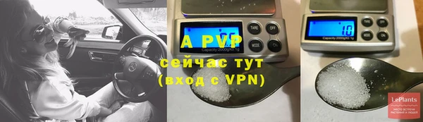 ECSTASY Лабытнанги