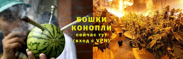 трава Ладушкин